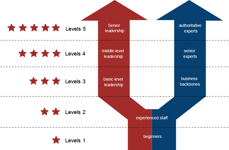 Example Y shaped career framework